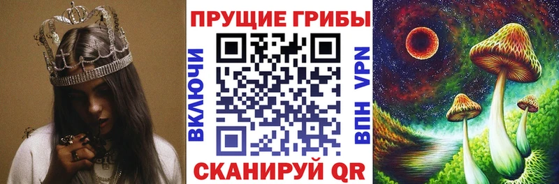 Галлюциногенные грибы GOLDEN TEACHER  купить закладку  Венёв 